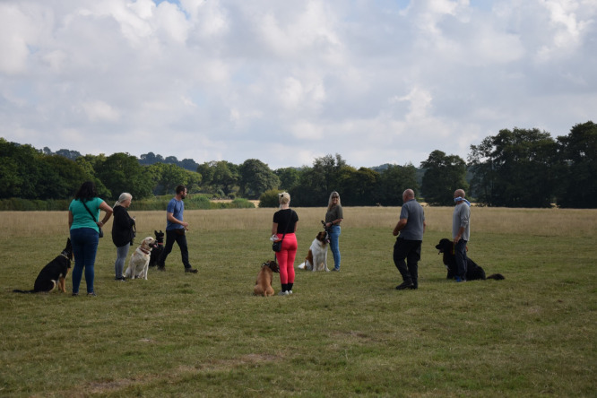 mick garner the maximum k9 dog trainer with his class in a field