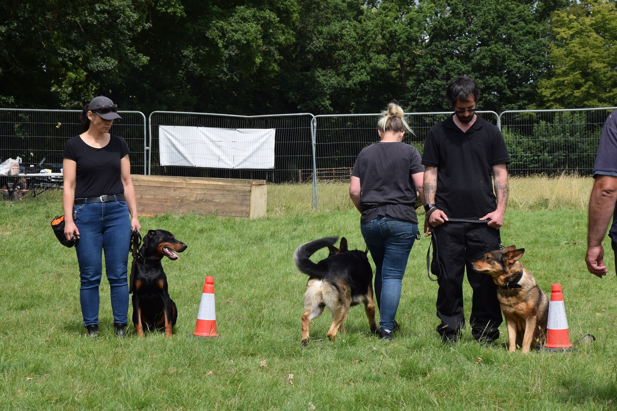 dog training classes in a field in ashford kent. There are three large dogs with handlers